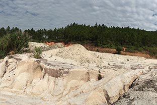 簡析高嶺土草莓视频黄色在线观看工藝作業